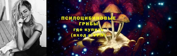 молекула духа Корсаков